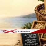 2η Ευβοϊκή Γιορτή Τοπικών Σπόρων στον Μύτικα – Μια γιορτή ζωής και παράδοσης αυτή την Κυριακή