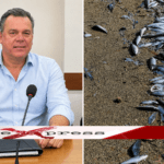 Τέλος στην ανησυχία για τα νεκρά ψάρια σε παραλίες του Δήμου Κύμης – Αλιβερίου βάζει ο αντιδήμαρχος Νίκος Μαστροκώστας